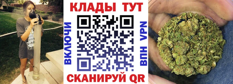 ГАШ Щёкино
