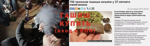 гашик Няндома