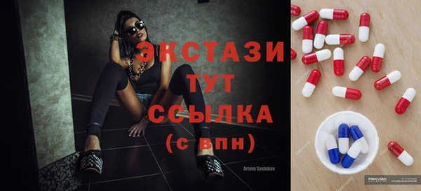 гашик Няндома