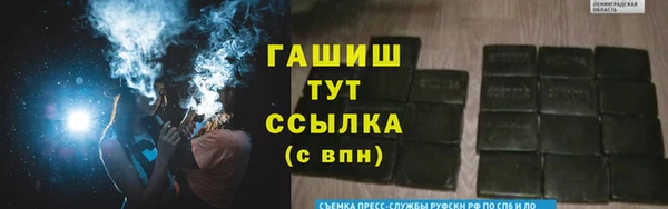 гашик Няндома