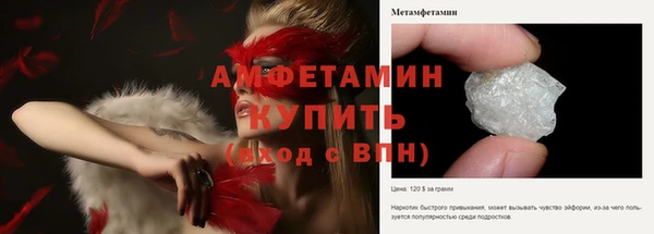 гашик Няндома