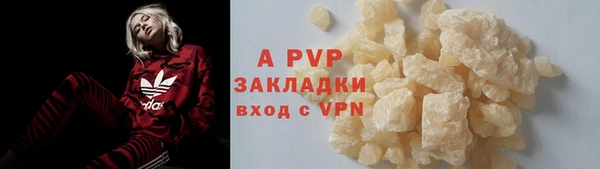 гашик Няндома