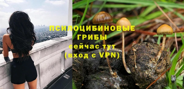 не бодяженный Гусь-Хрустальный