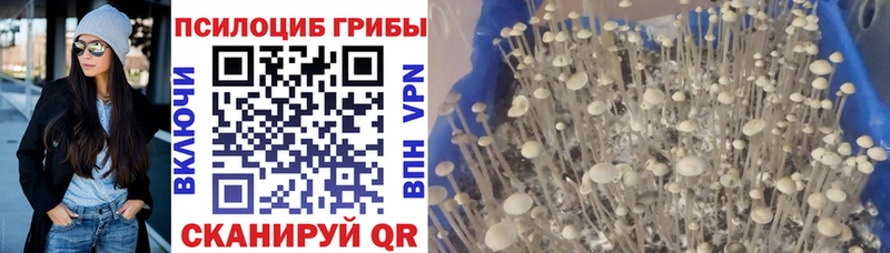 Галлюциногенные грибы Magic Shrooms  Щёкино 