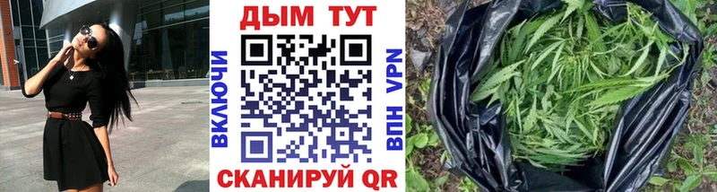 где купить наркотик  Щёкино  МЕГА ССЫЛКА  Каннабис THC 21% 